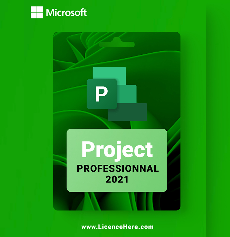 project pro 2021.1